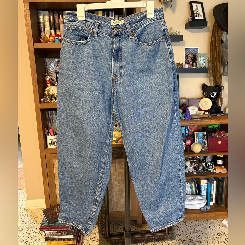 Abercrombie Tapered Loose High Rise jeans size 30/10 short